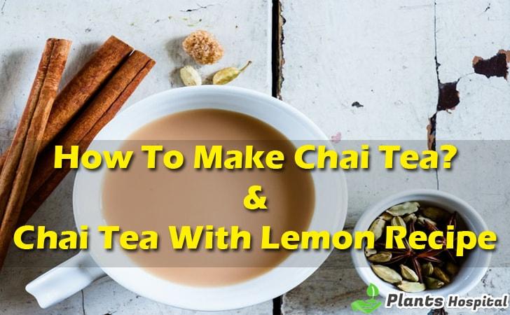 chai-tea-recipes