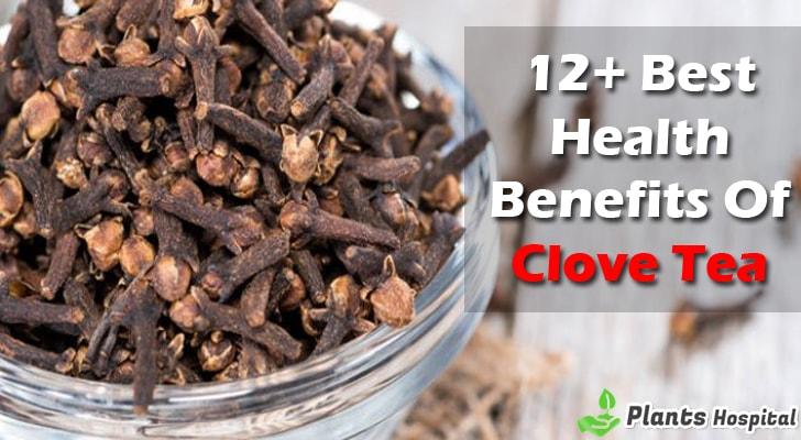 clove-tea-benefits