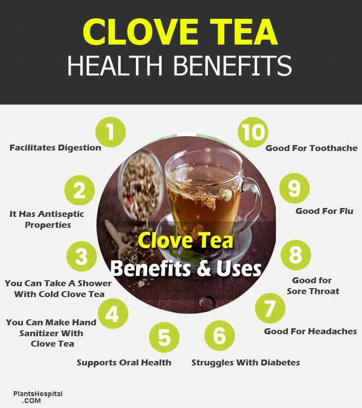 12+ EvidenceBased Health Benefits Of Clove Tea Uses & Warnings