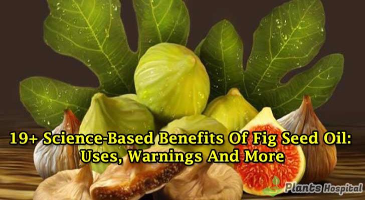 fig-seed-oil-benefits
