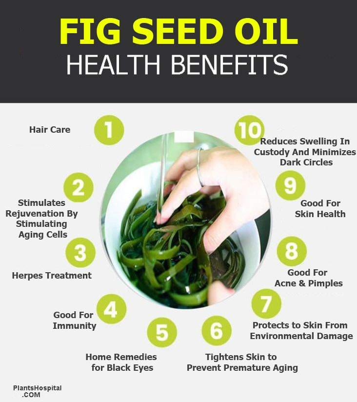 fig-seed-oil-infographic