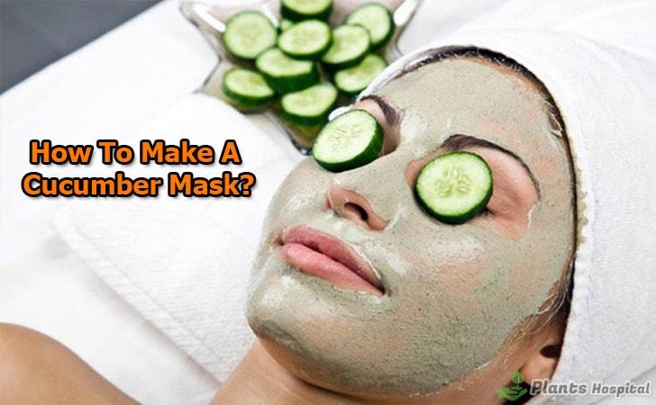 how-to-make-cucumber-face-mask