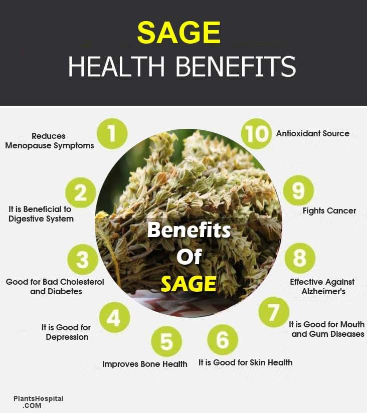 sage-infographic