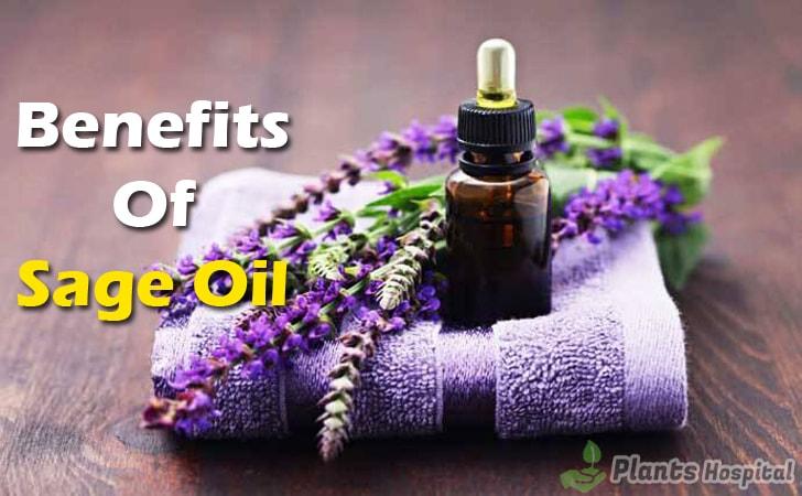 sage-oil-benefits