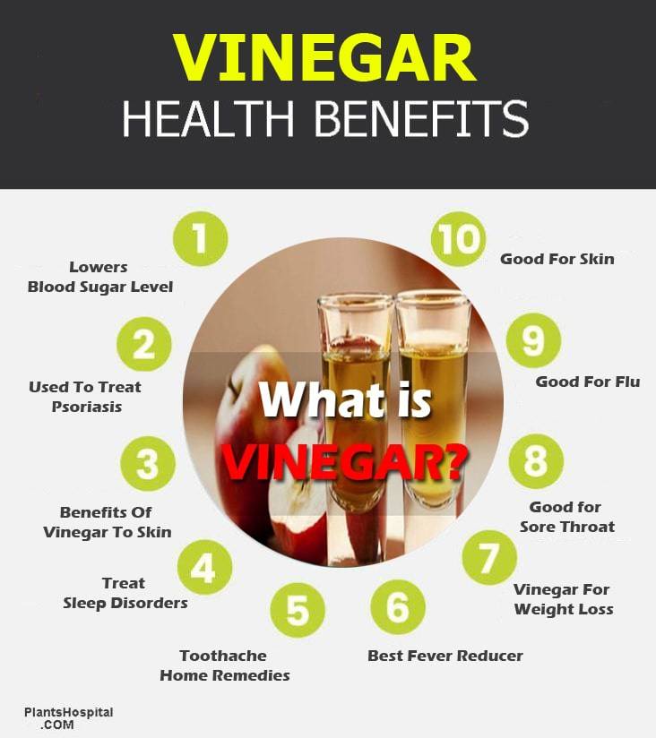 vinegar-infographic