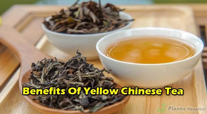 yellow-chinese-tea-benefits