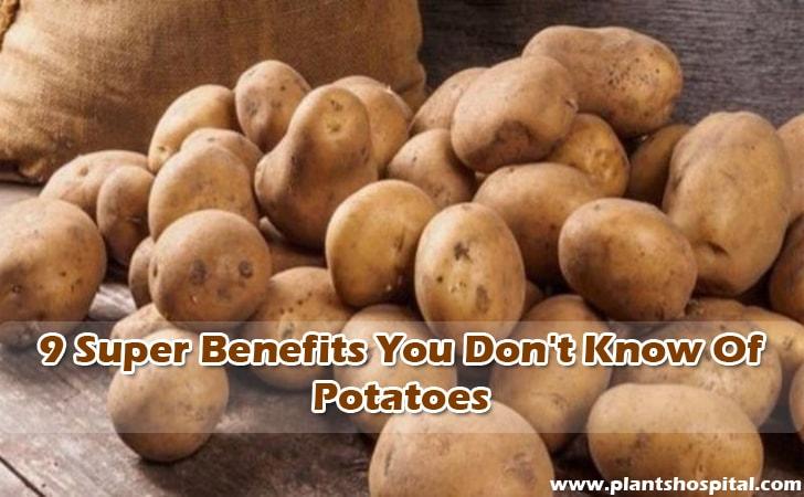 benefits-of-potatoes