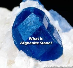 Afghanite-Stone
