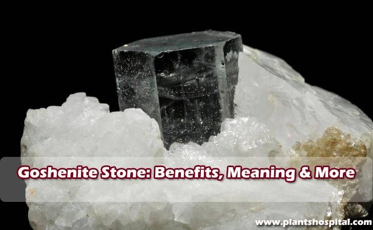 goshenite-stone-benefits