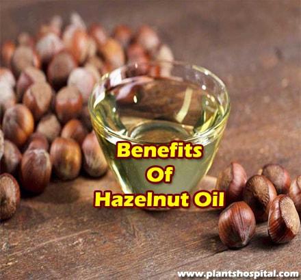 Hazelnut-oil-benefits