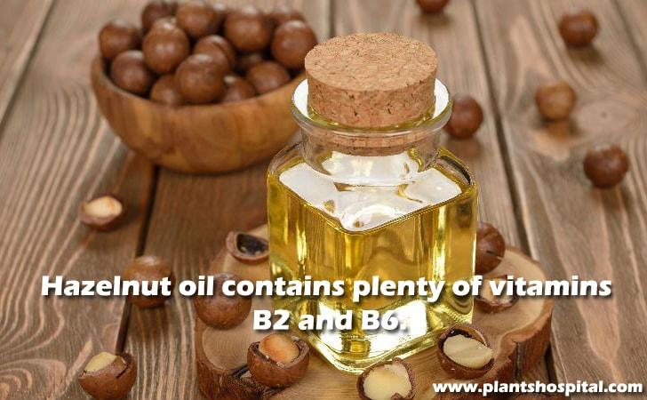 Hazelnut oil contains plenty of vitamins B2 and B6