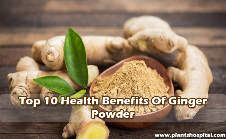 ginger-powder-benefits