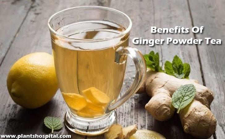 ginger-powder-tea-benefits