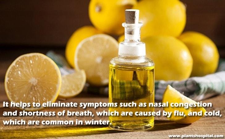 how-to-make-lemon-oil