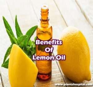 lemon-oil-benefits