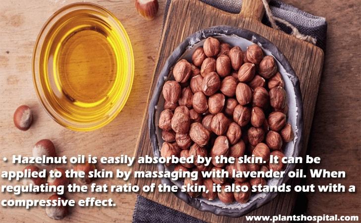 Hazelnut oil is easily absorbed by the skin.