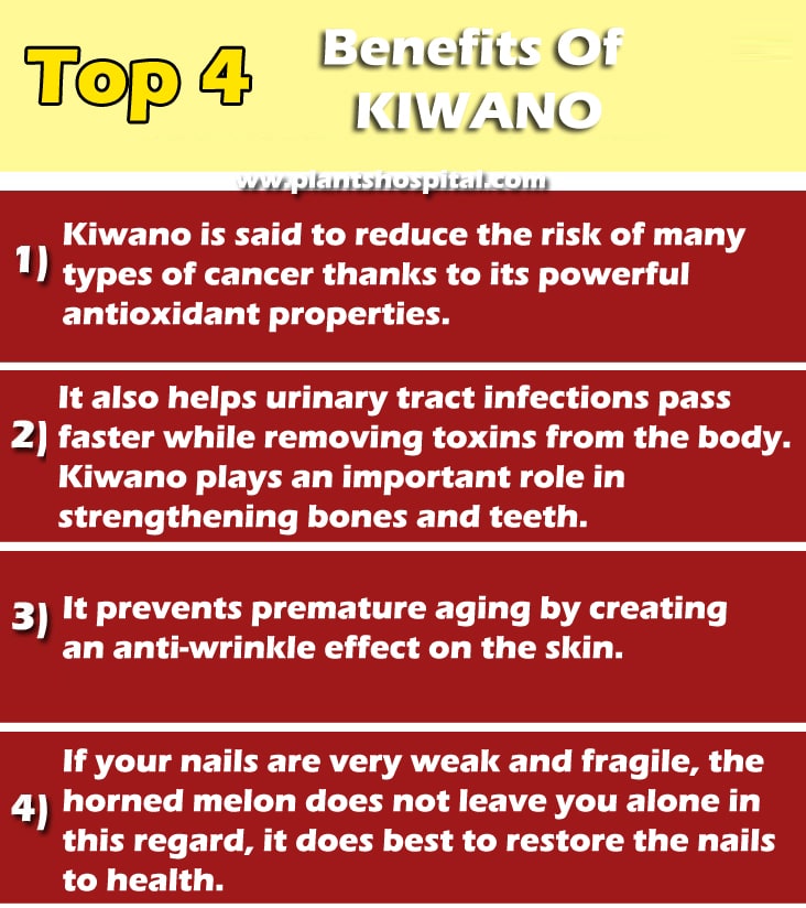 benefits-of-kiwano-graphic