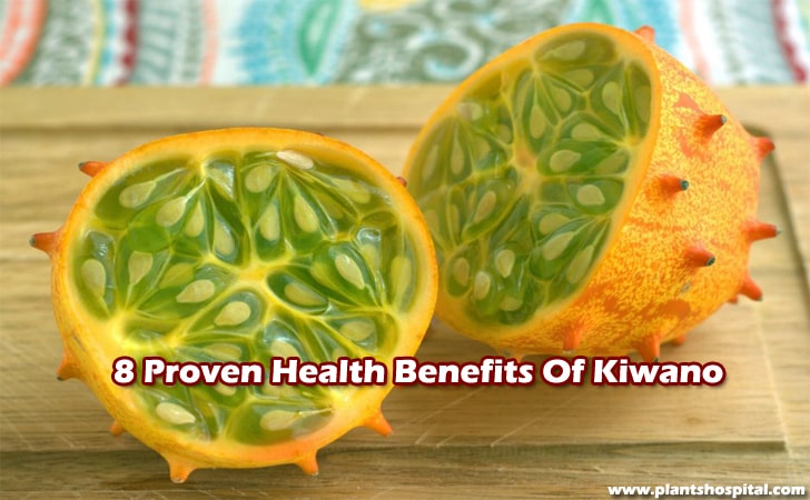 health-benefits-of-kiwano