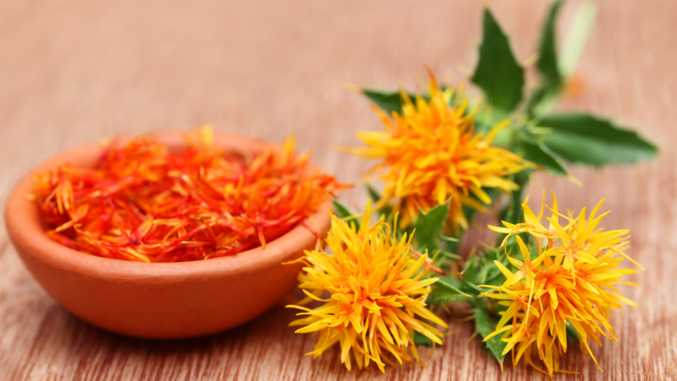 Health Benefits Of Safflower Oil