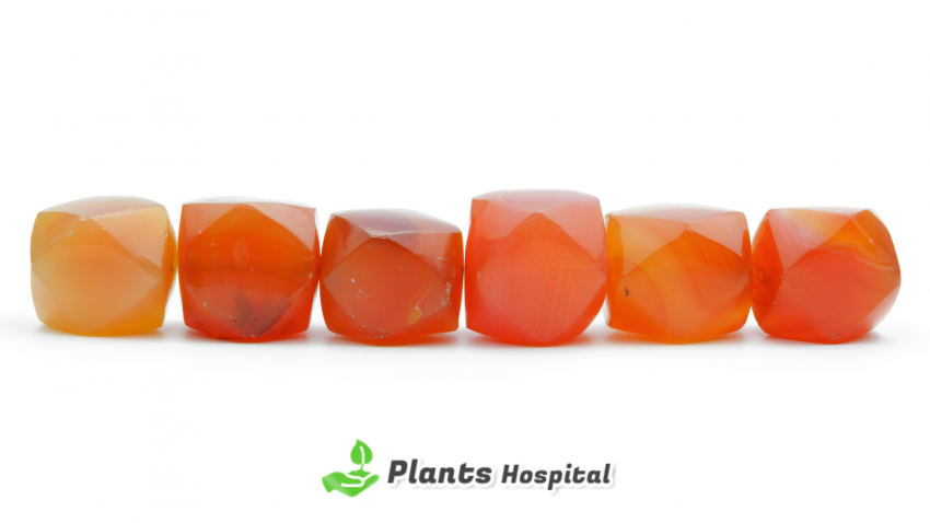 Carnelian Crystal Healing Properties